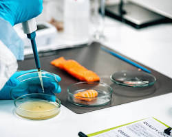 M.Sc Food Technology